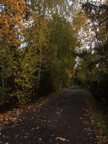 IMG-20210811-WA0034