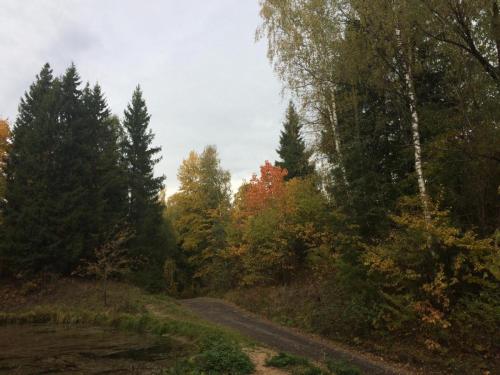 IMG-20210811-WA0042